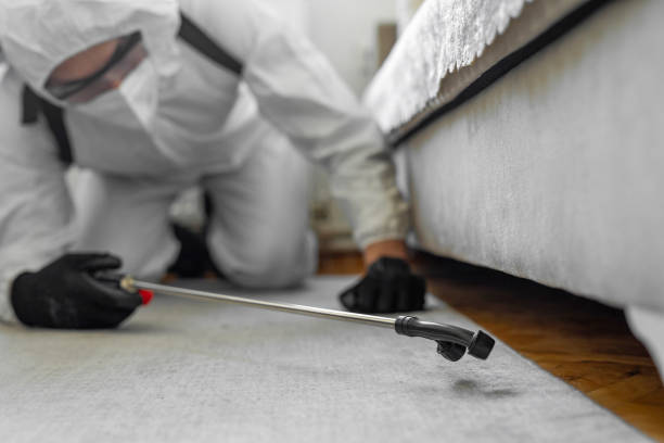 Professional Pest Control technician working in Rome, IL