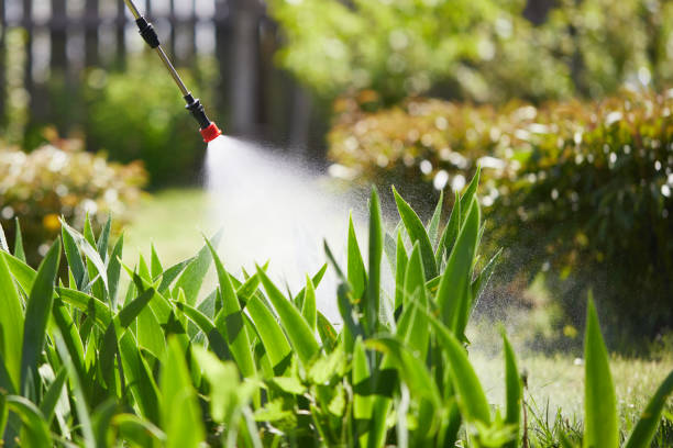 24/7 Emergency Pest Control experts in Rome, IL