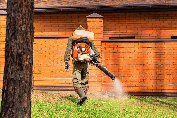 Top rated local Pest Control specialists in Rome, IL